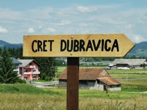 CRET Dubravica - biljka rosika